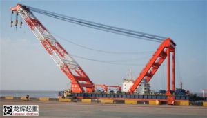 ��������������޽��O�����������wͣ܇��